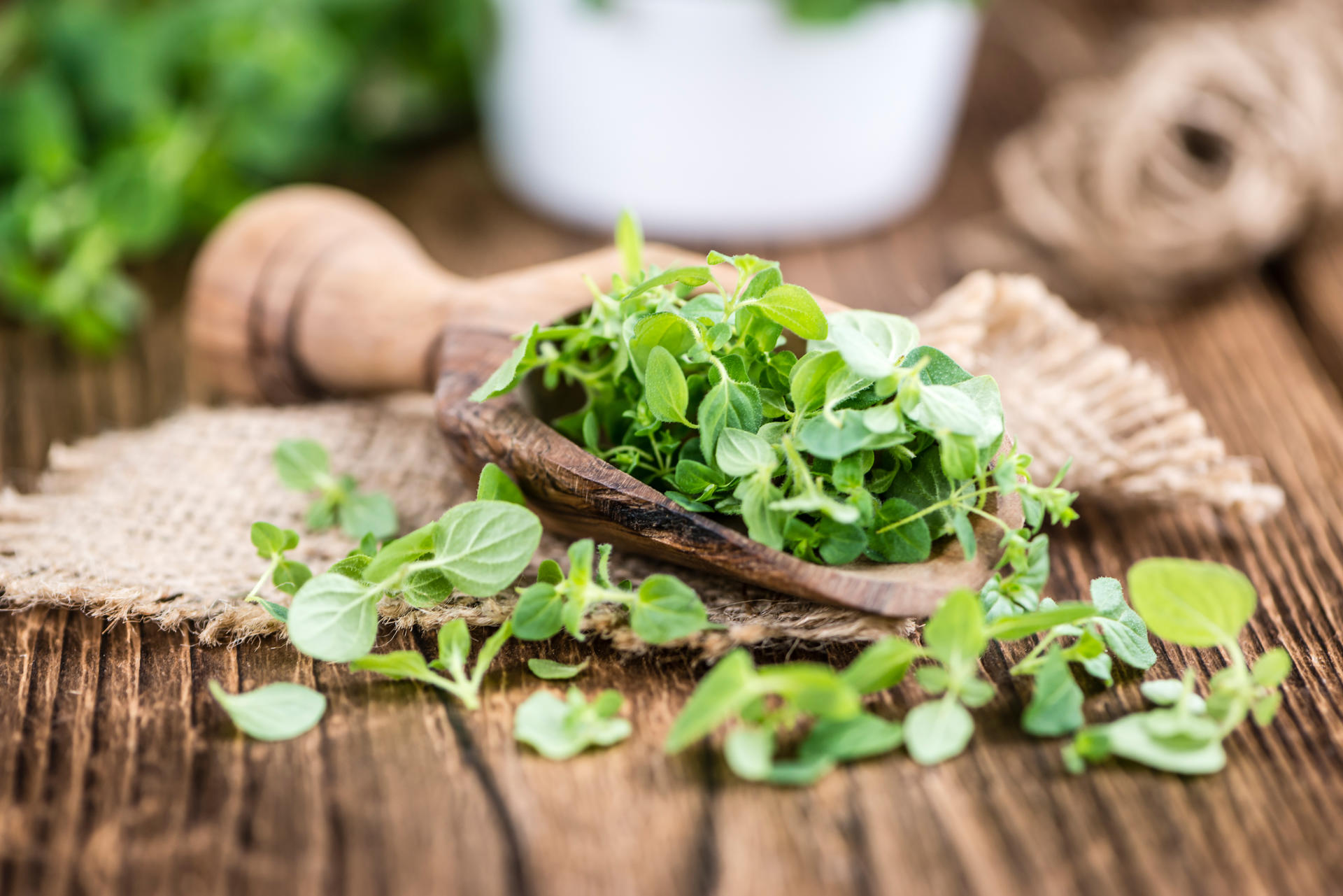 best herbs for weight loss-Oregano