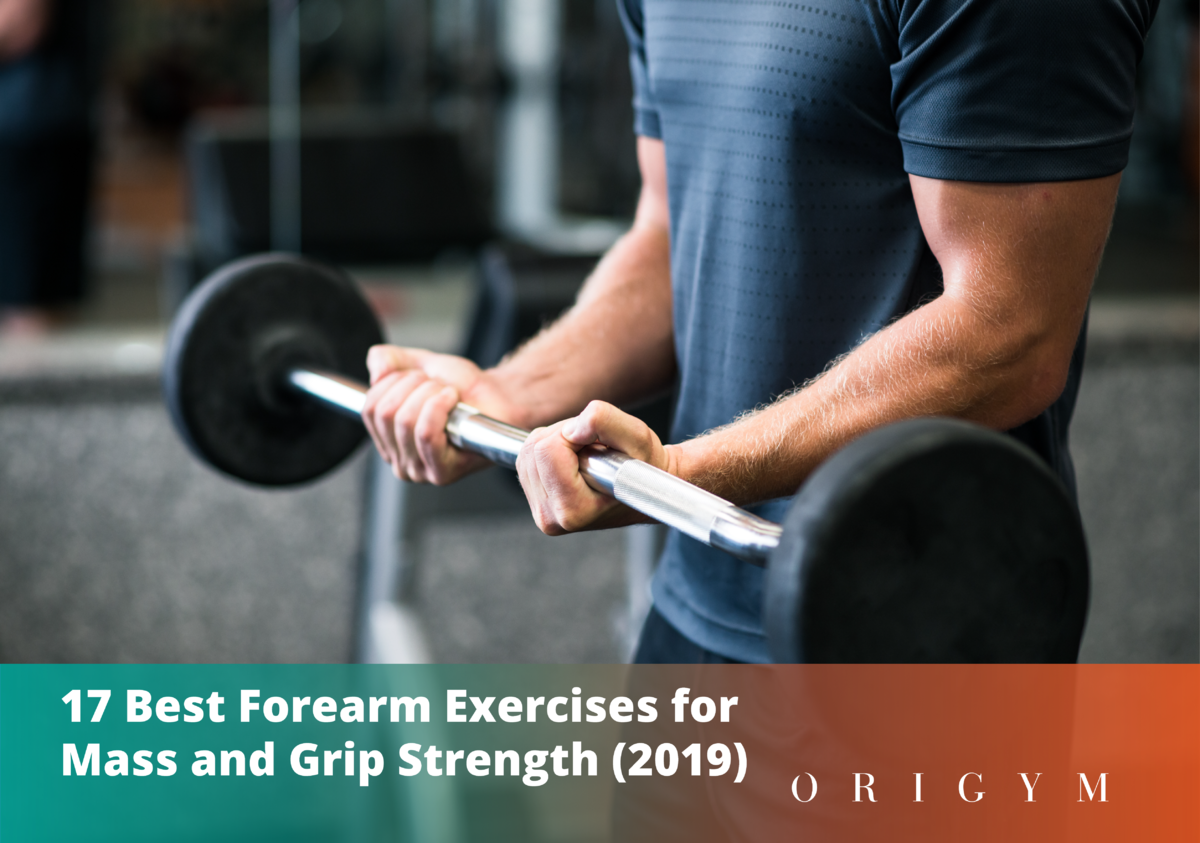 Wrist Strength Exerciser Hand Arm Forearm Muscular Grip Power Training Crossfit