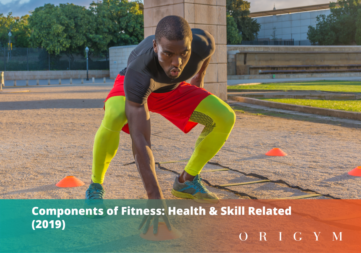 What Are The Health-Skill Related Components Of Physical Fitness