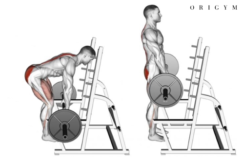 Rack Pull Exercise Online Sales, UP TO 54% OFF | www.ldeventos.com